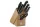ZWILLING Professional "S" Késblokk Készlet – 8 részes, Bükkfa – Prémium konyhai szett (35662-000-0)