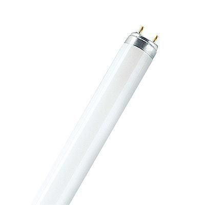 OSRAM LUMILUX T8 fénycső, 16 W/840, 72 cm (4050300446066)
